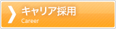�L�����A�̗p