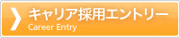 キャリア採用エントリー